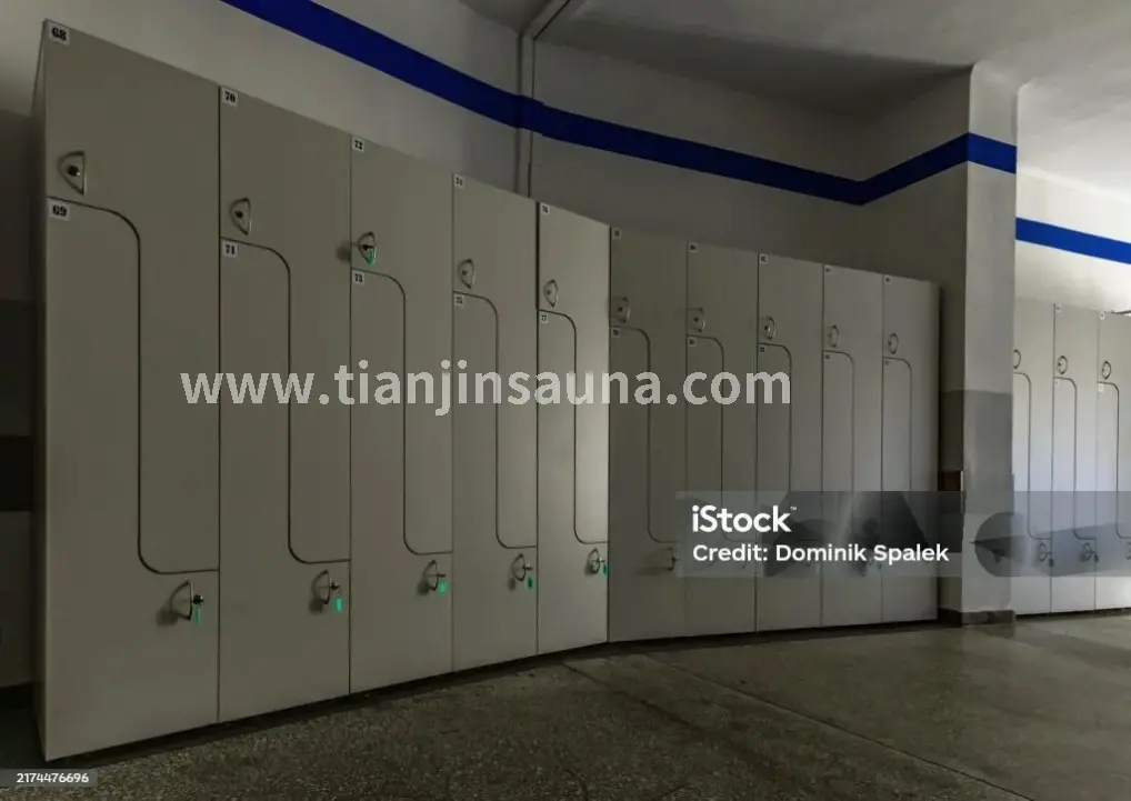 桑拿类型