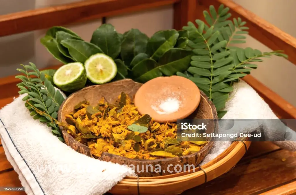 桑拿类型