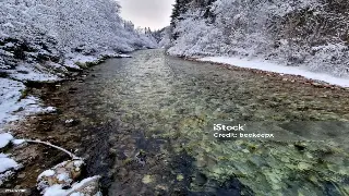 津门桑拿风情万种：细数不同类型的养生体验