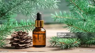 津门桑拿体验：卸下疲惫，感受身心焕新的港湾