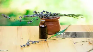 蒸汽天堂的秘密：天津特色桑拿类型大揭秘，总有一款让你身心焕发！