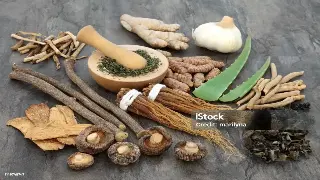 热浪袭来前：揭秘天津桑拿背后的千年文化史与养生之道