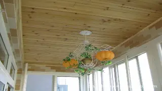 周末桑拿血泪史：天津大爷教你如何避坑，享受正宗“热疗”！