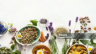 从古至今的桑拿传奇：探寻身体焕活的千年密码