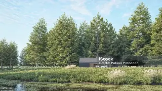 指尖上的千年智慧：按摩术如何从古老疗法走向现代养生 图片