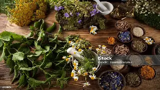 天津桑拿初体验：从冰爽到暖洋洋的全身心放松之旅 图片